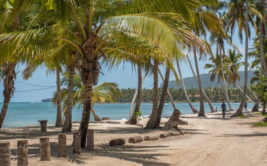 Things to Do in Las Terrenas Things to do in Las Terrenas