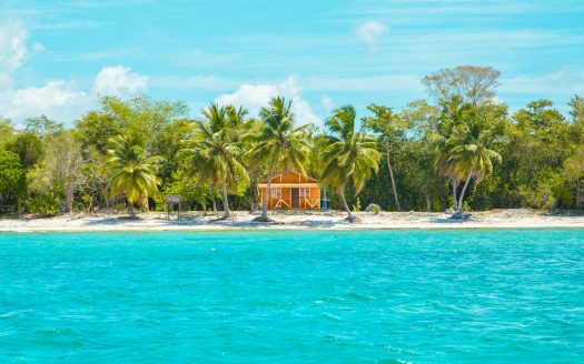 Discover the Top 5 Tours from Las Terrenas Tours from Las Terrenas