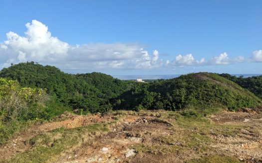 Residential Lots for Sale in a Gated Community in Hoyo Cacao