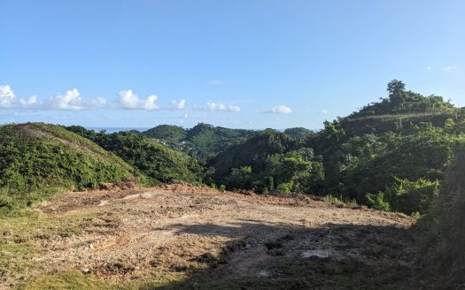Residential Lots for Sale in a Gated Community in Hoyo Cacao