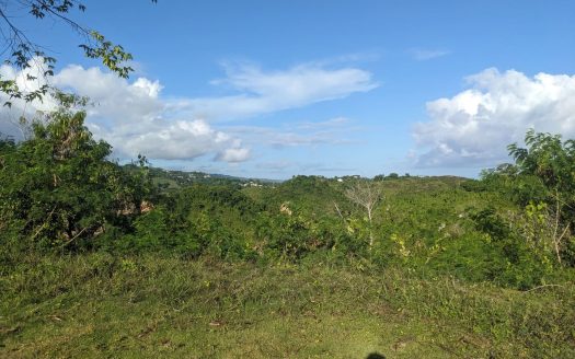 Residential Lots for Sale in a Gated Community in Hoyo Cacao