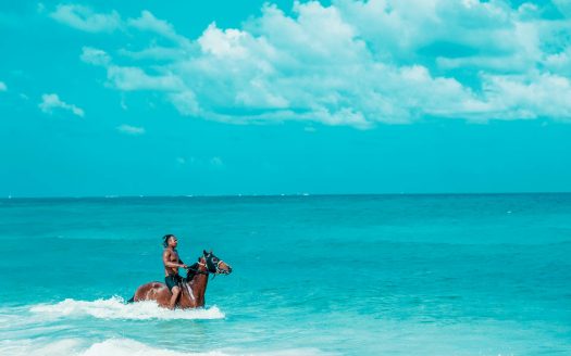 Best Tourist Activities in Las Terrenas: Unmissable Experiences in Paradise Best Tourist Activities in Las Terrenas