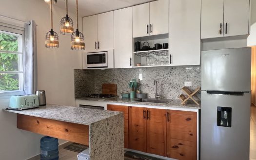 Newly Upgraded Condo in Prime Location | Playa Popy